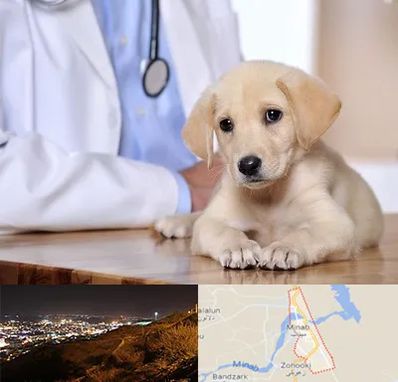 بیمارستان دامپزشکی در میناب