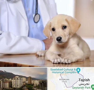بیمارستان دامپزشکی در زعفرانیه