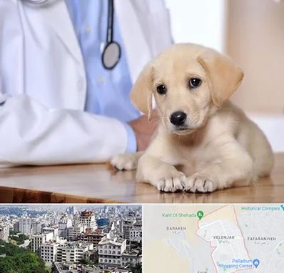بیمارستان دامپزشکی در ولنجک 