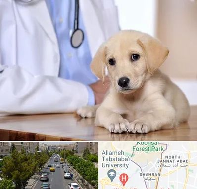 بیمارستان دامپزشکی در شهران 