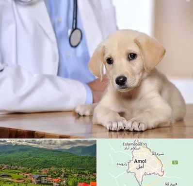 بیمارستان دامپزشکی در آمل