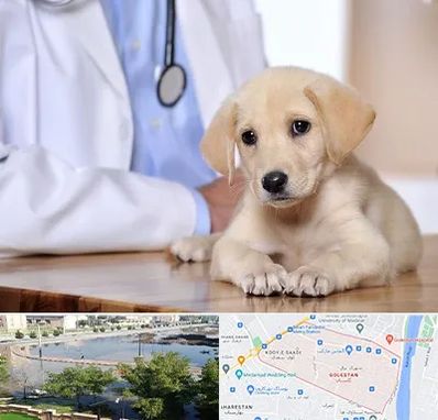 بیمارستان دامپزشکی در گلستان اهواز