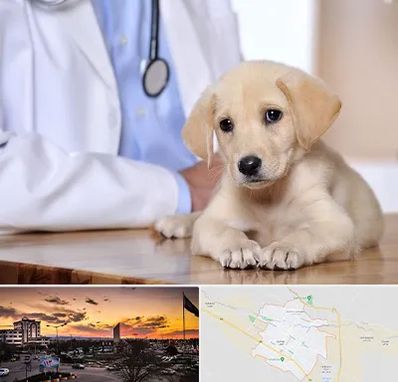 بیمارستان دامپزشکی در قوچان