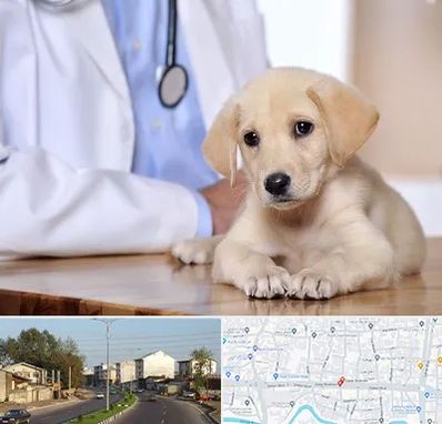 بیمارستان دامپزشکی در ضیابری رشت