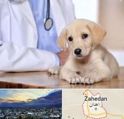 بیمارستان دامپزشکی در زاهدان