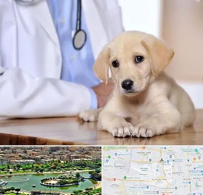 بیمارستان دامپزشکی در منطقه 9 تهران