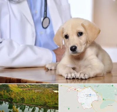 بیمارستان دامپزشکی در بهبهان