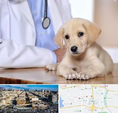 بیمارستان دامپزشکی در شهرک راه آهن