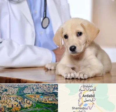 بیمارستان دامپزشکی در اردبیل