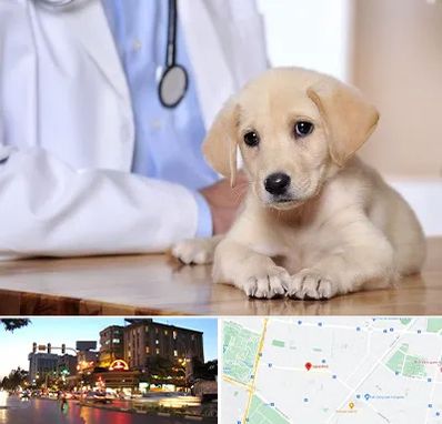 بیمارستان دامپزشکی در بلوار سجاد مشهد