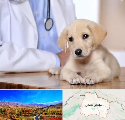 بیمارستان دامپزشکی در خراسان شمالی