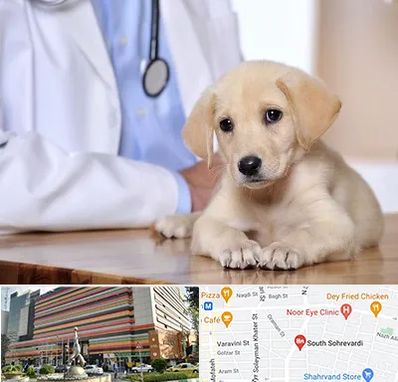بیمارستان دامپزشکی در سهروردی