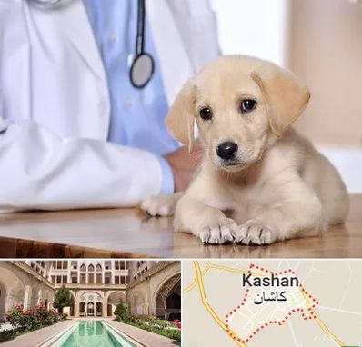 بیمارستان دامپزشکی در کاشان