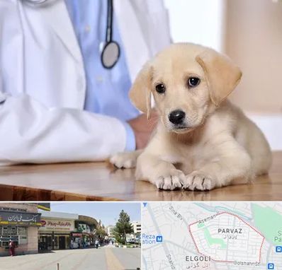 بیمارستان دامپزشکی در پرواز تبریز