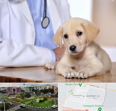 بیمارستان دامپزشکی در تهرانسر 