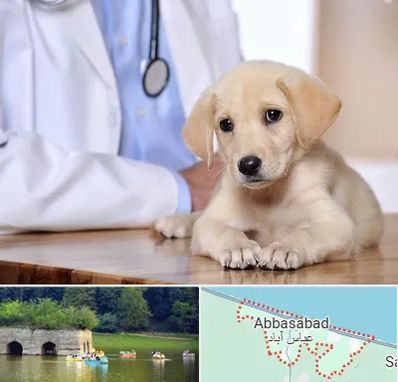 بیمارستان دامپزشکی در عباس آباد