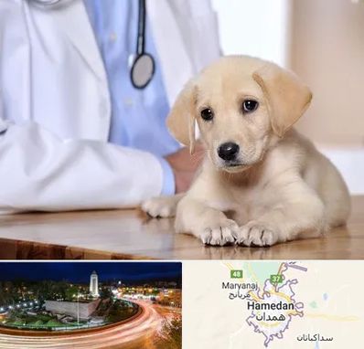 بیمارستان دامپزشکی در همدان
