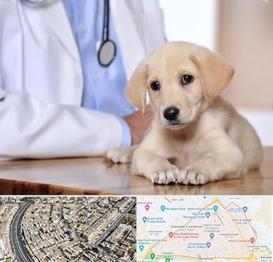 بیمارستان دامپزشکی در شهرک غرب مشهد