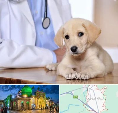 بیمارستان دامپزشکی در آستانه اشرفیه