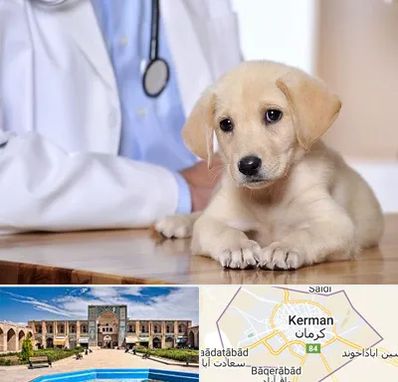 بیمارستان دامپزشکی در کرمان