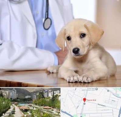 بیمارستان دامپزشکی در بلوار تعاون