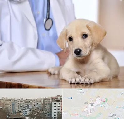 بیمارستان دامپزشکی در محمد شهر کرج