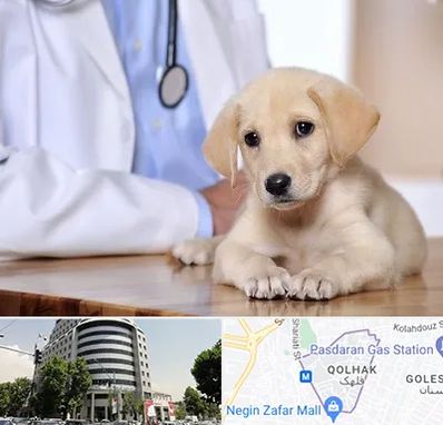 بیمارستان دامپزشکی در قلهک