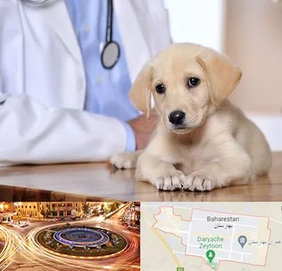 بیمارستان دامپزشکی در بهارستان
