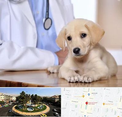 بیمارستان دامپزشکی در هفت حوض