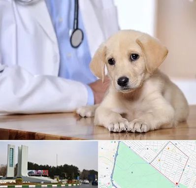 بیمارستان دامپزشکی در بلوار فلسیطین مشهد