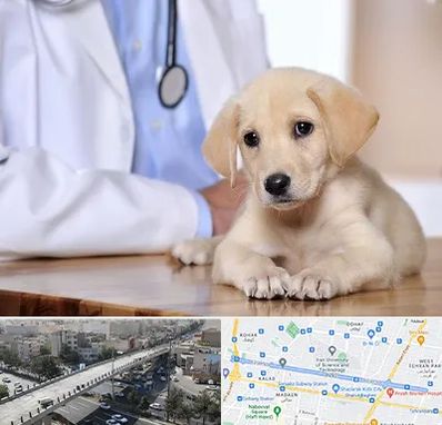 بیمارستان دامپزشکی در فرجام