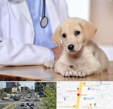 بیمارستان دامپزشکی در ستاری