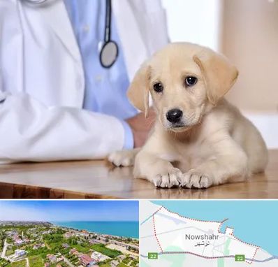 بیمارستان دامپزشکی در نوشهر