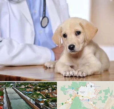 بیمارستان دامپزشکی در مراغه