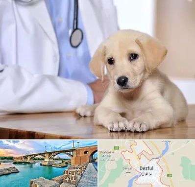 بیمارستان دامپزشکی در دزفول
