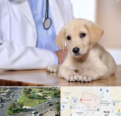 بیمارستان دامپزشکی در شاهین ویلا کرج