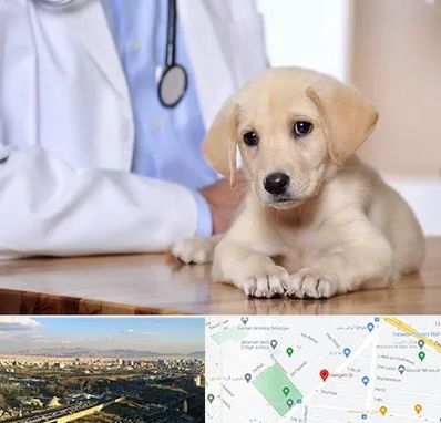 بیمارستان دامپزشکی در هنگام