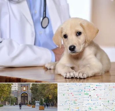 بیمارستان دامپزشکی در منطقه 12 تهران