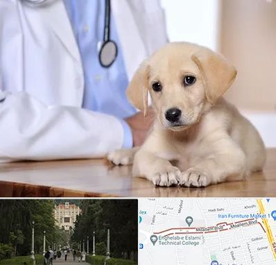 بیمارستان دامپزشکی در بلوار معلم رشت