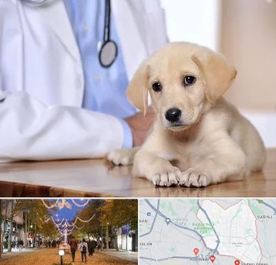 بیمارستان دامپزشکی در ولیعصر ارومیه