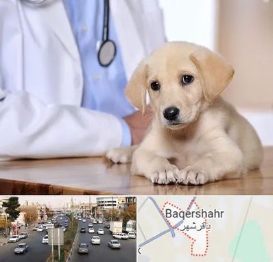 بیمارستان دامپزشکی در باقرشهر