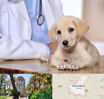 بیمارستان دامپزشکی در نیشابور