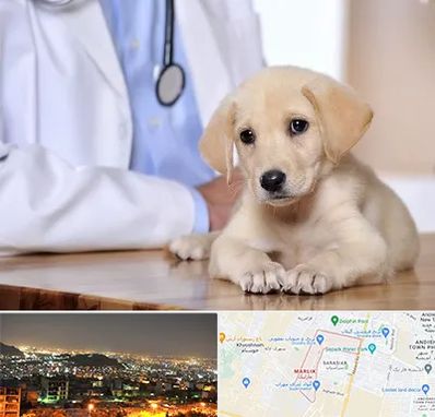 بیمارستان دامپزشکی در مارلیک کرج