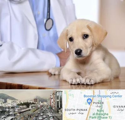 بیمارستان دامپزشکی در پونک 