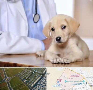 بیمارستان دامپزشکی در الهیه مشهد