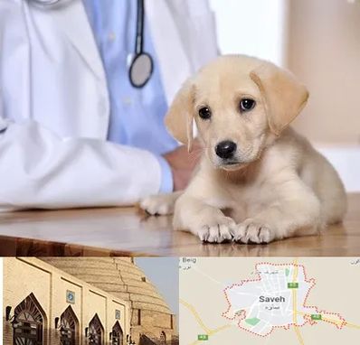 بیمارستان دامپزشکی در ساوه