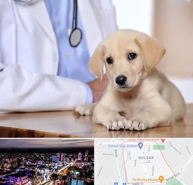 بیمارستان دامپزشکی در گلسار رشت