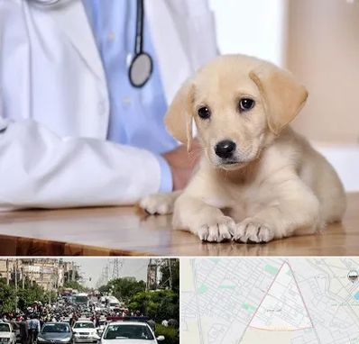 بیمارستان دامپزشکی در سیدی مشهد