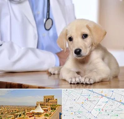 بیمارستان دامپزشکی در هاشمیه مشهد