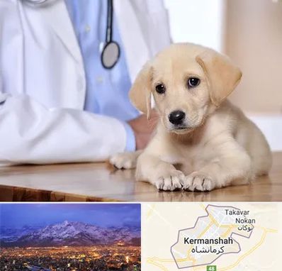 بیمارستان دامپزشکی در کرمانشاه